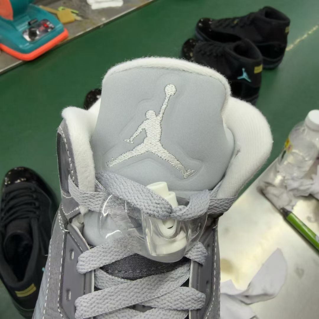 Nike Jordan shoe